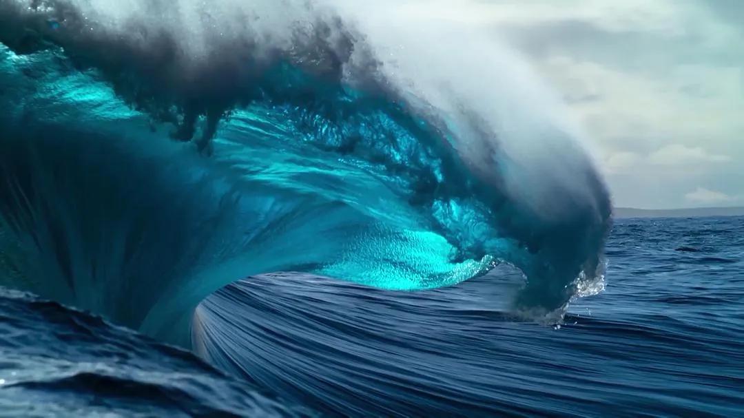 《地球脉动》:对自然和生命最好的礼赞