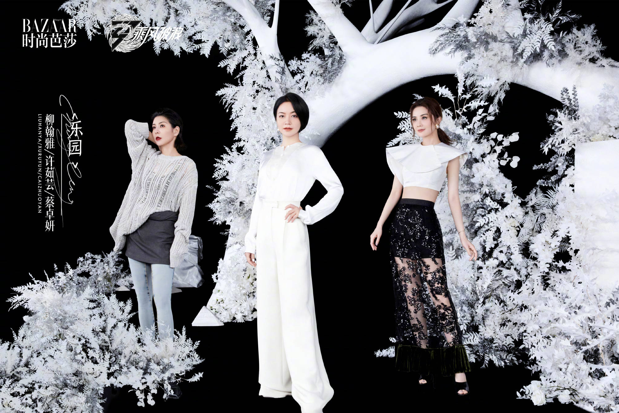 《乘风破浪》二公分组大片曝光 美女如云风格百变