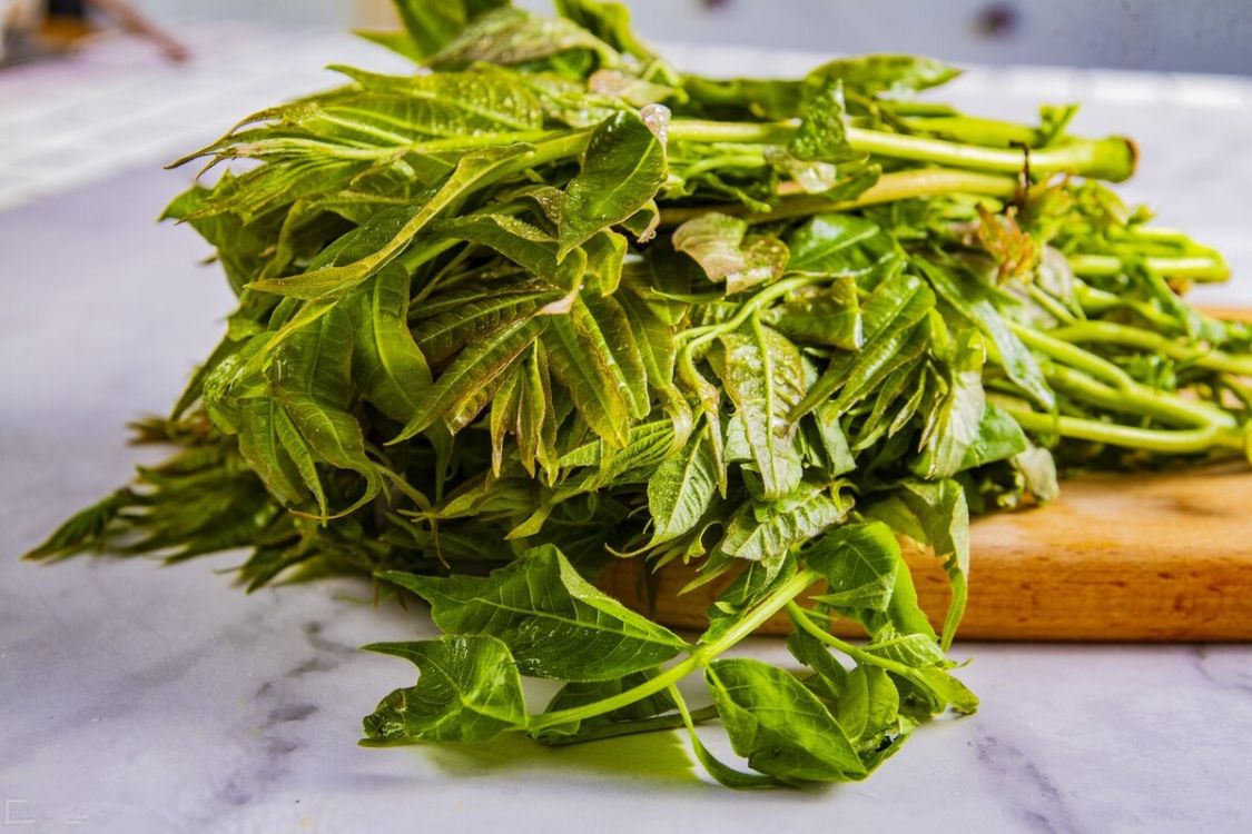 买香椿,要区分"红叶"与"绿叶",差别真不小,很多人不知道