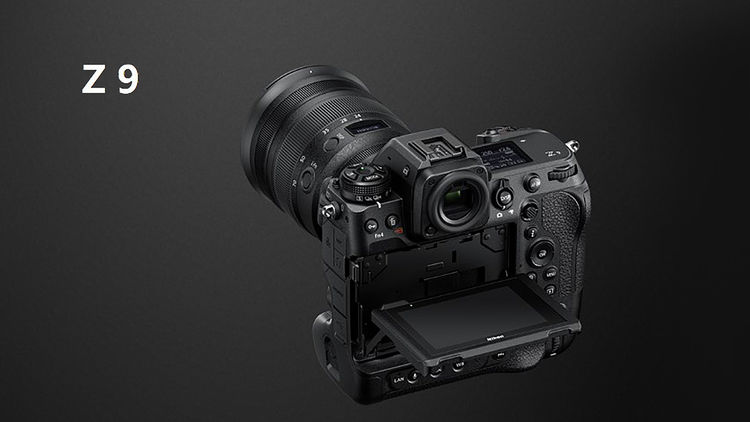 “单反终结者”—尼康Z9 非洲实战测评（二）划时代的对焦能力测评