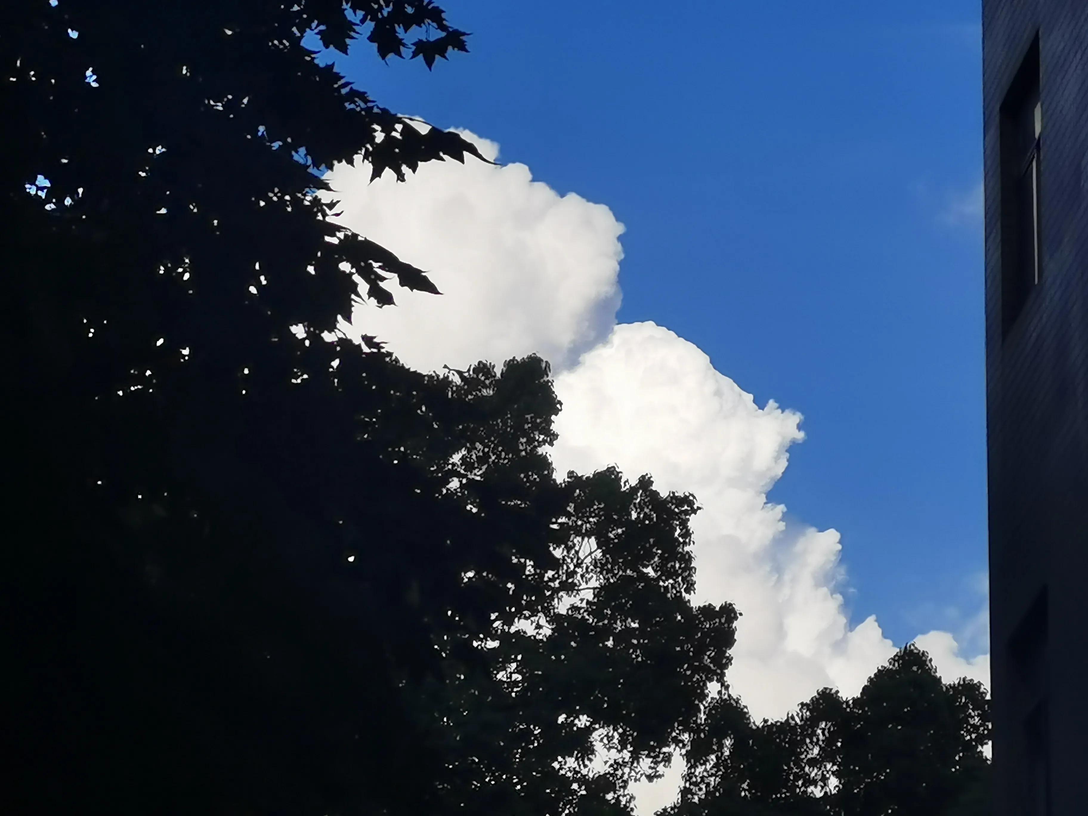 听一万种声音 但只成为自己