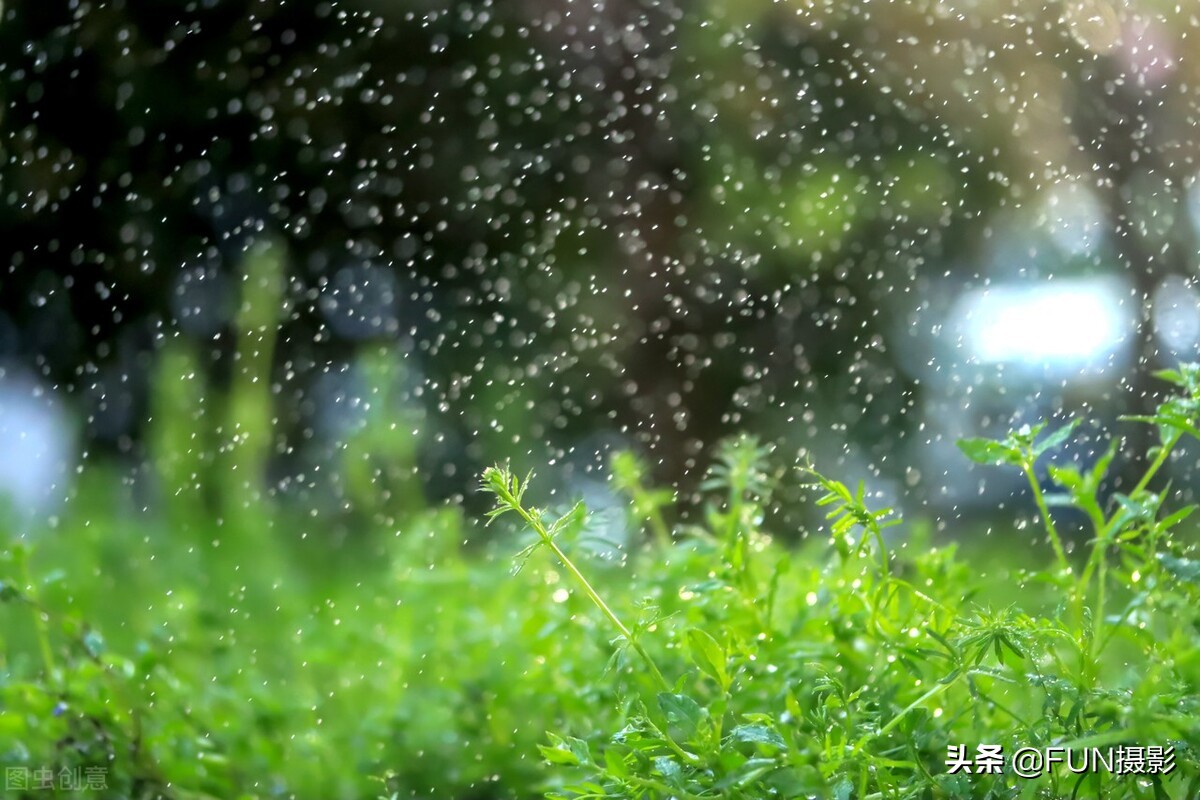 學這6個技巧，下雨天也能拍出具有故事感的攝影大片，含拍攝參數