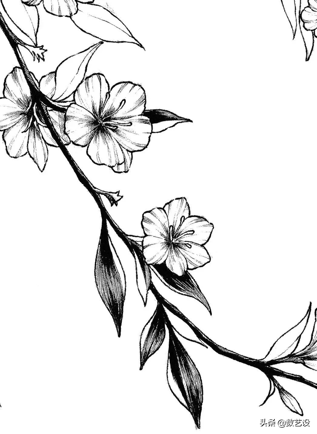 只用2种颜色,怎么把花画好看?