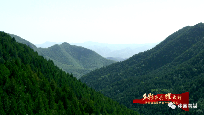 邯鄲涉縣榮獲“河北省森林城市”稱號(hào)
