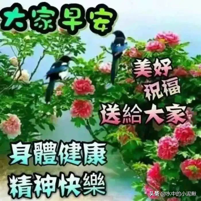 每天早安正能量签名，微信朋友圈经典语录正能量句子