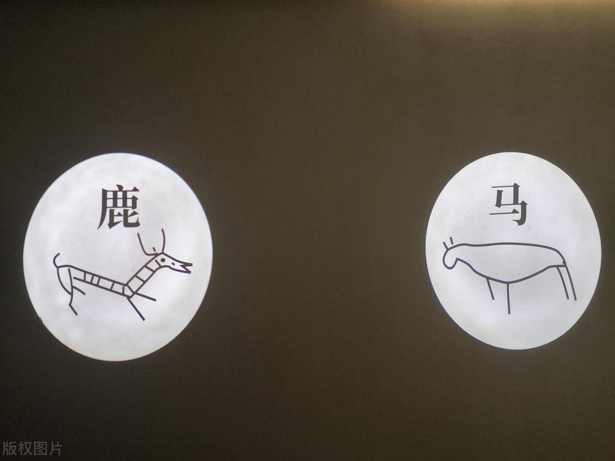 “指鼠为鸭”闹剧将终场 谁是导演让人费思量