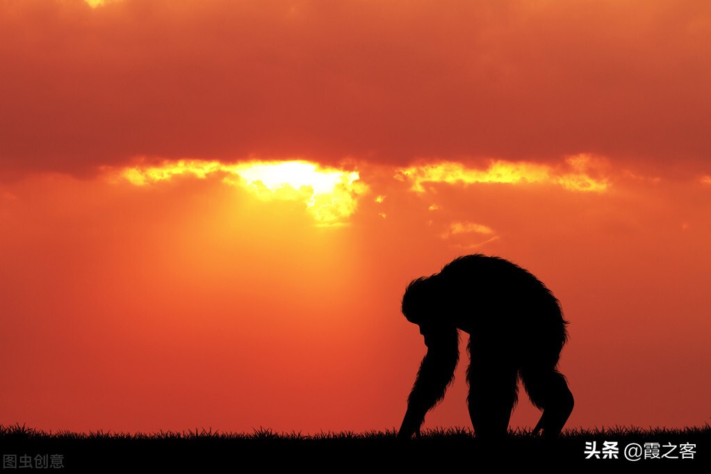 新人性论 - 文化篇 - 什么是经济 2