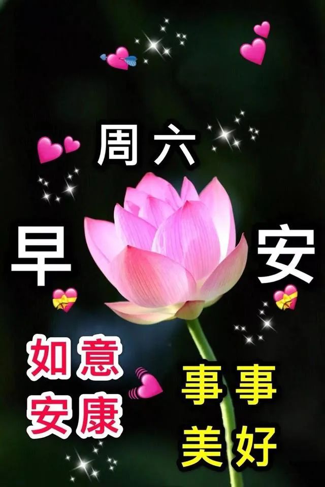 周六最美早上好图片动态大图带字 开心周末、快乐每一天图片