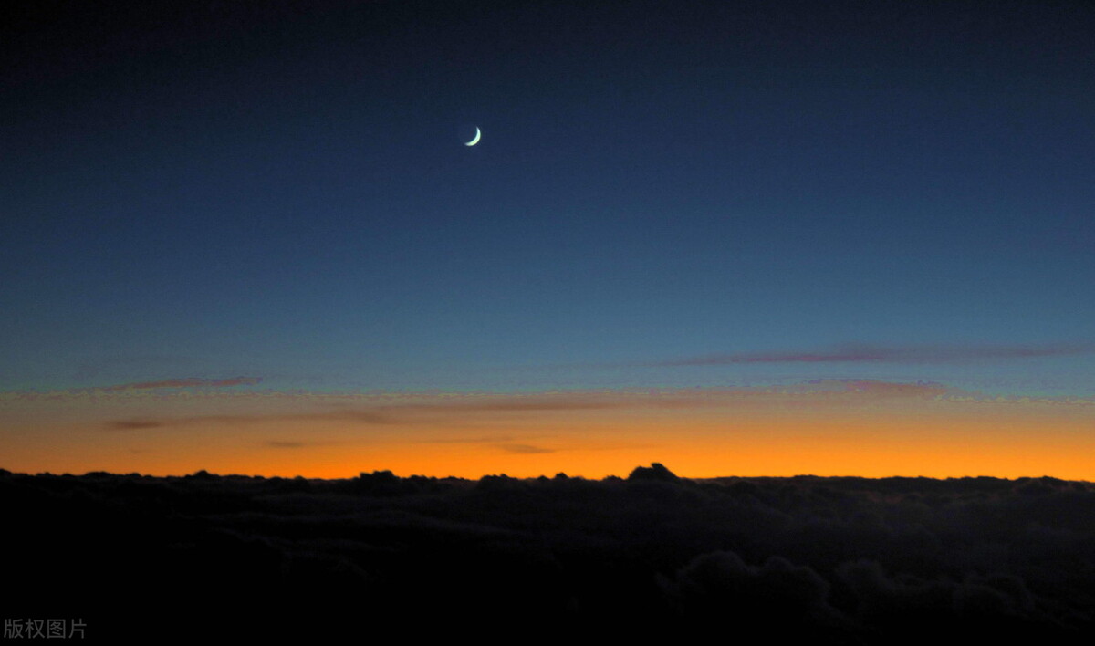夜阑人静蟋蟀还是那么我行我素还是那么一往情深唱着那么一支歌这么