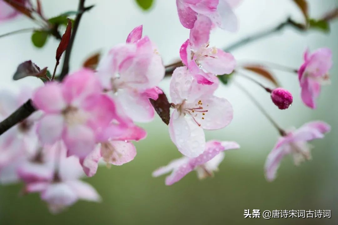 春雨蒙蒙地下