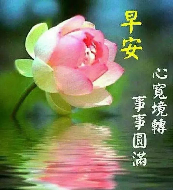 早上好朋友圈祝福语，一生长安，未来可期，愿每天有喜有乐图片