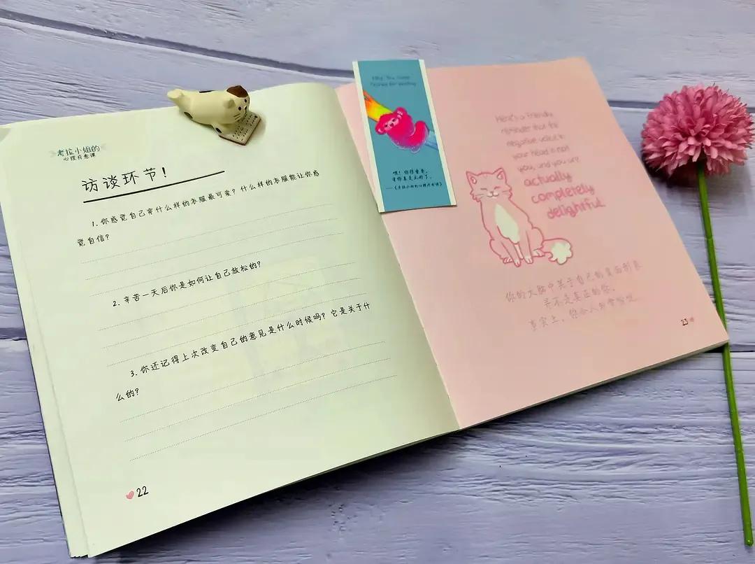 《考拉小姐的心理疗愈课》：原谅自己的不完美，学会放爱一条生路