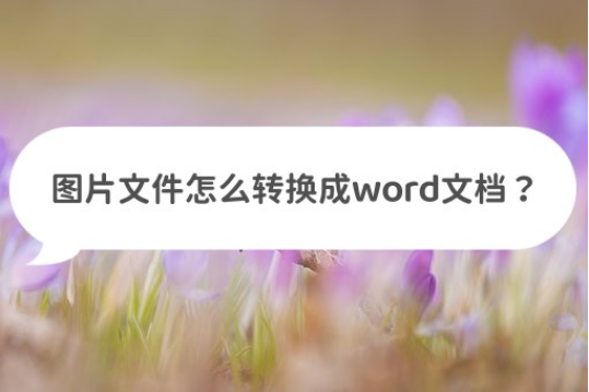 图片文件怎么转换成word文档(pbb怎么转换为word)