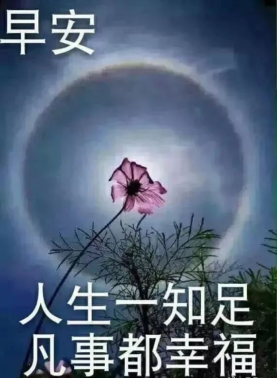 漂亮早上好图片 好看早上好表情包大全 人生知足，凡事都幸福图片