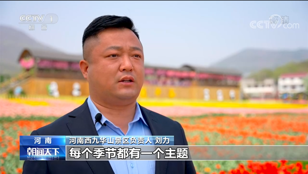 央视新闻再次聚焦西九华山景区花千谷成为全国赏花经济的一抹亮色