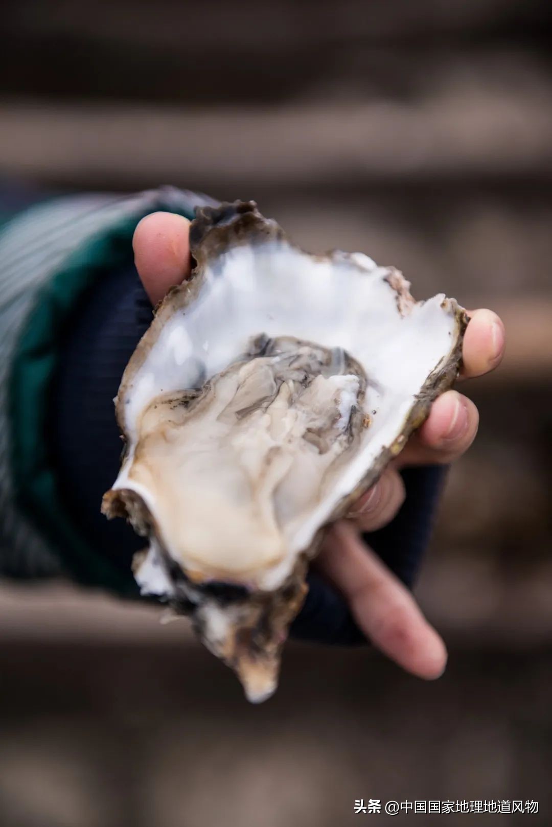 �й����ʴ�ʡ��ô�࣬����������óԣ�