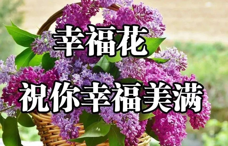 秋天清晨微信问候早上好表情包图片 幸福花祝你幸福美满图片