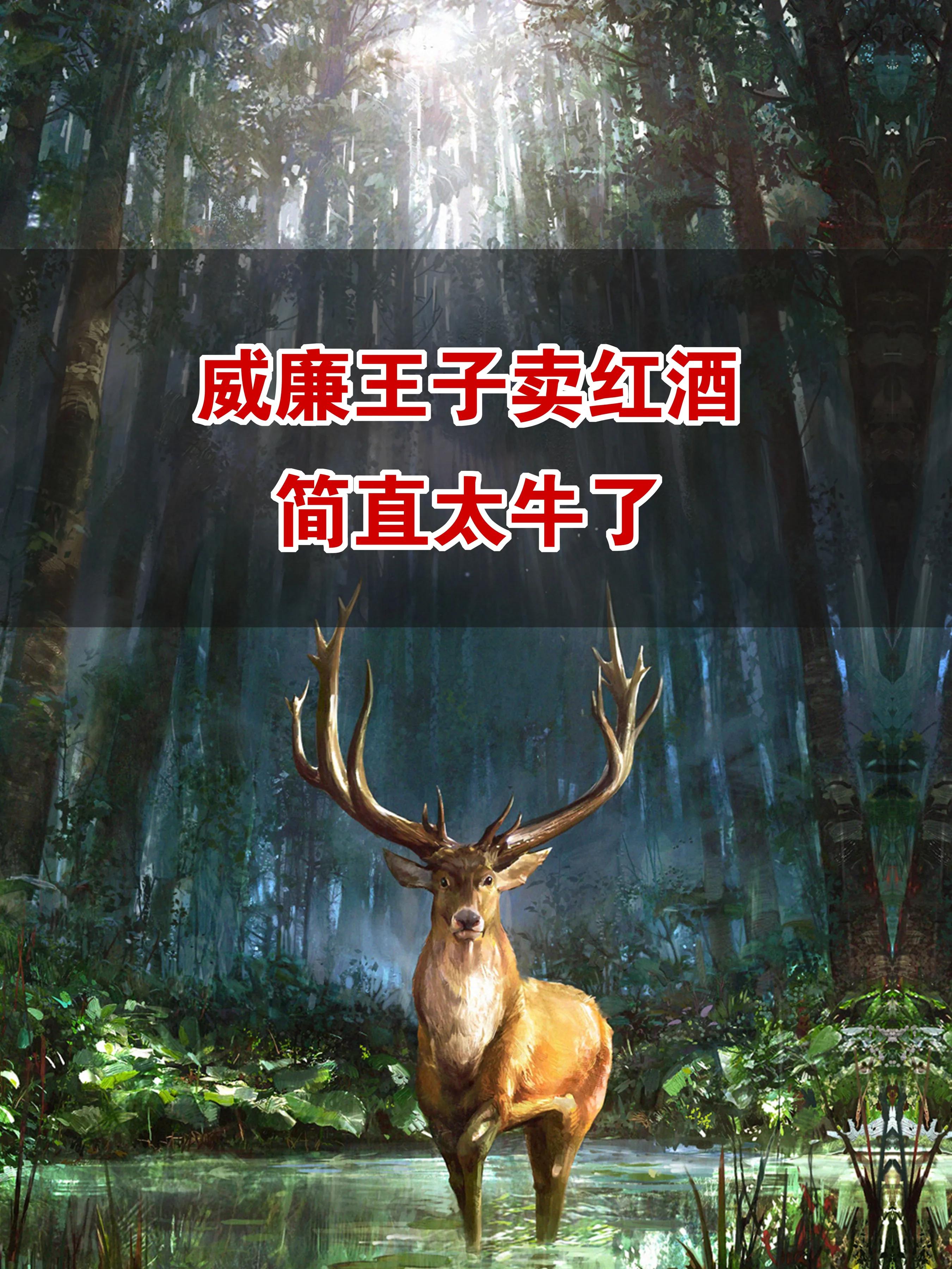 看“威廉王子”如何玩转电商