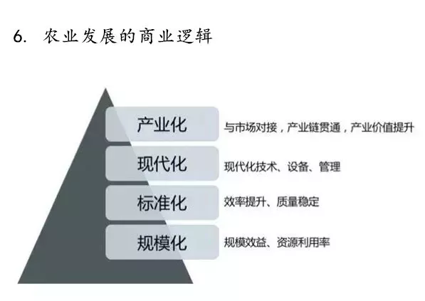 深度：支撑新时代现代农业发展的六大底层逻辑