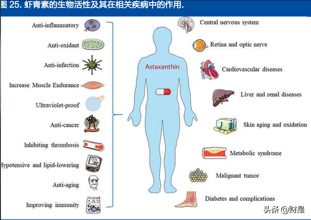 金城医药研究报告：生物合成与化学合成双平台能量开始爆发