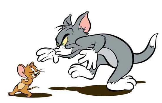 猫和老鼠中汤姆猫的原型究竟是什么品种？看完这三点，你就知道了