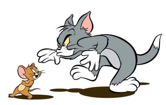 猫和老鼠中汤姆猫的原型究竟是什么品种？看完这三点，你就知道了