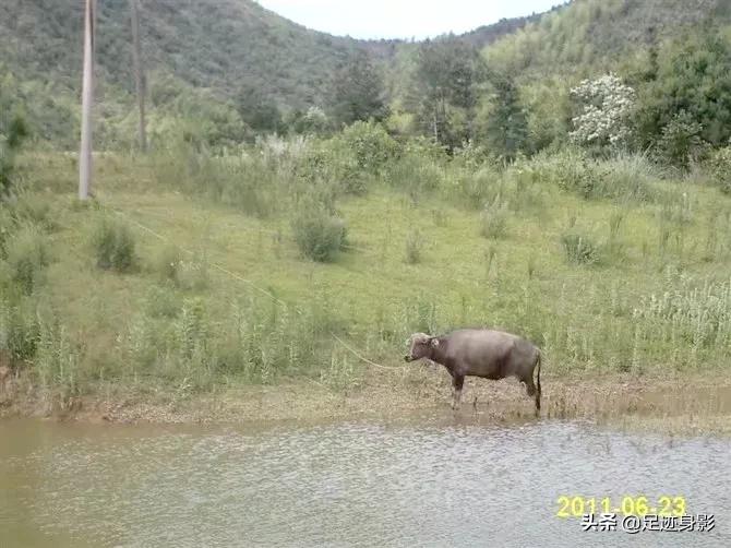 狼道名言名句