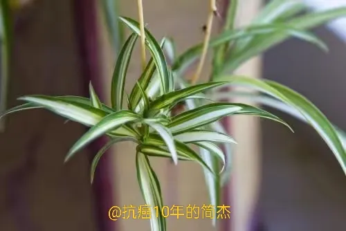明明知道，每个人都有死亡都有离开这个世界的那一天，可是，你还是忍不住地害怕