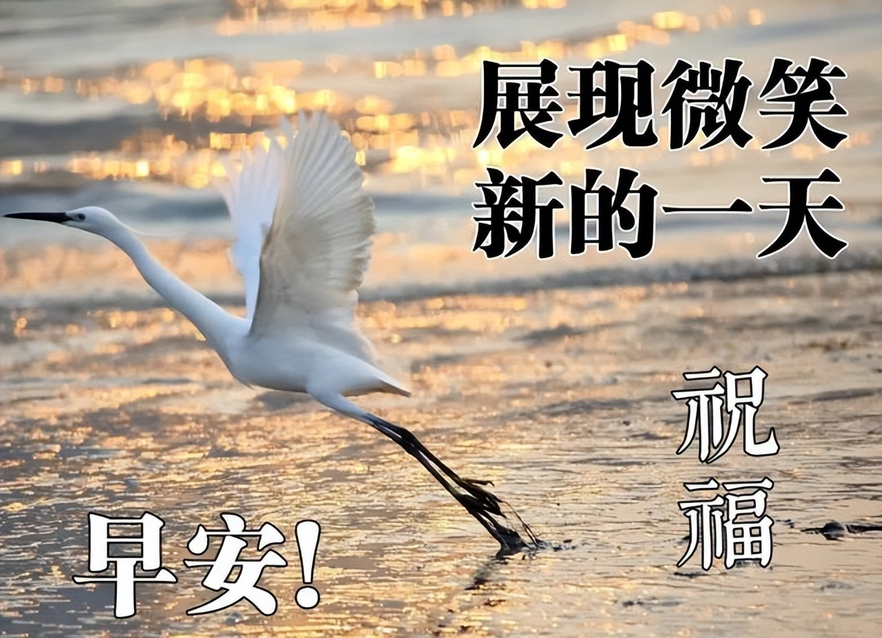 非常好看的早上好图片 漂亮早安问候语美图 问候是一种甜蜜的牵挂图片
