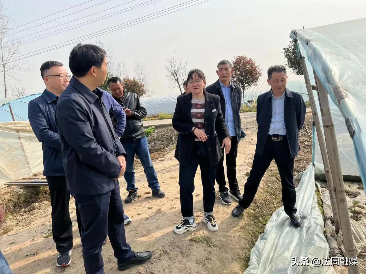 澧县：县政协领导到小渡口镇开展走访调研活动
