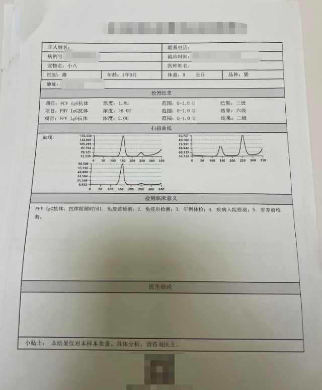 宠物医生，公猫绝育后拉稀便血呕吐怎么办？