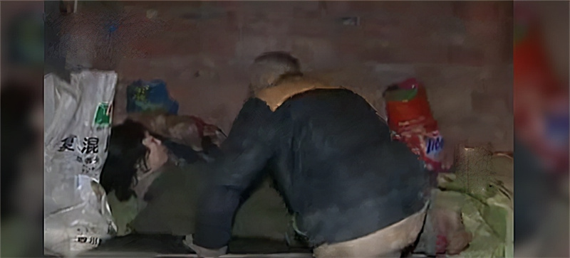 2012年，四川电视台发现一被拐17年的女子，罪魁祸首将被如何处理