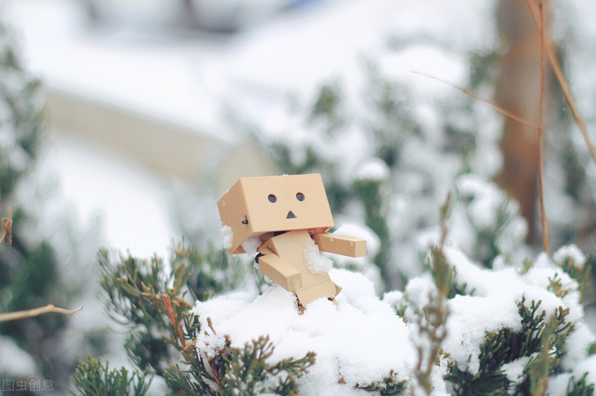 红颜易老，寻梦千年，浅情人不知