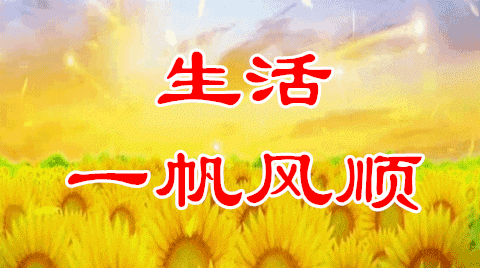 清晨微信早上好问候语大全带字祝福美图 早安愉快，幸福满满每一天图片
