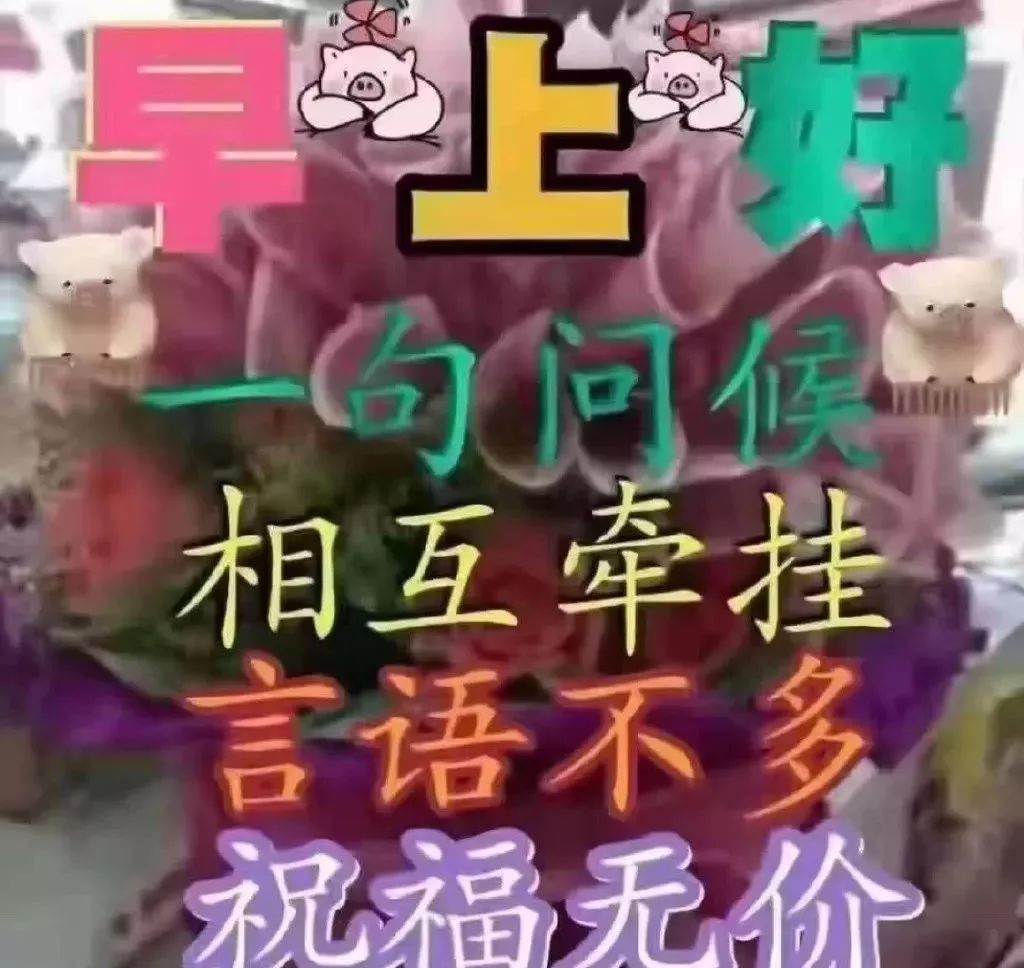 周二更新早上好表情包大全 平凡的生活就是幸福图片