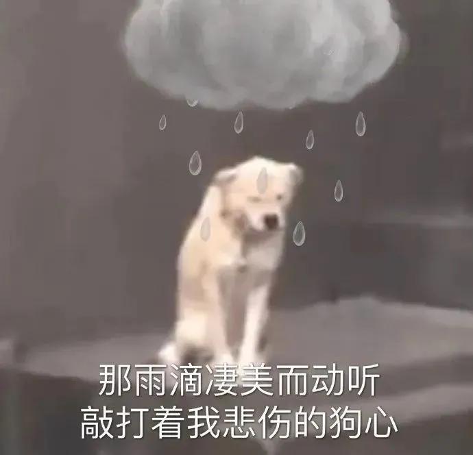 表情包｜那雨滴凄美而动听