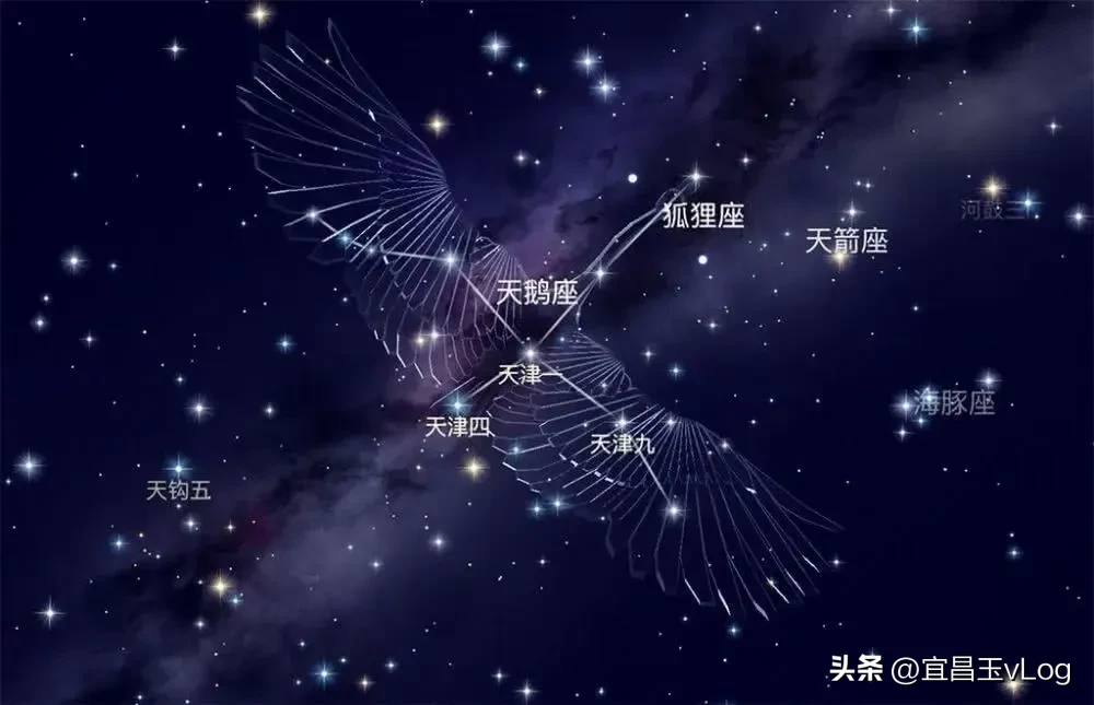 我国截获天鹅座来信！内容是什么？超出我们认知