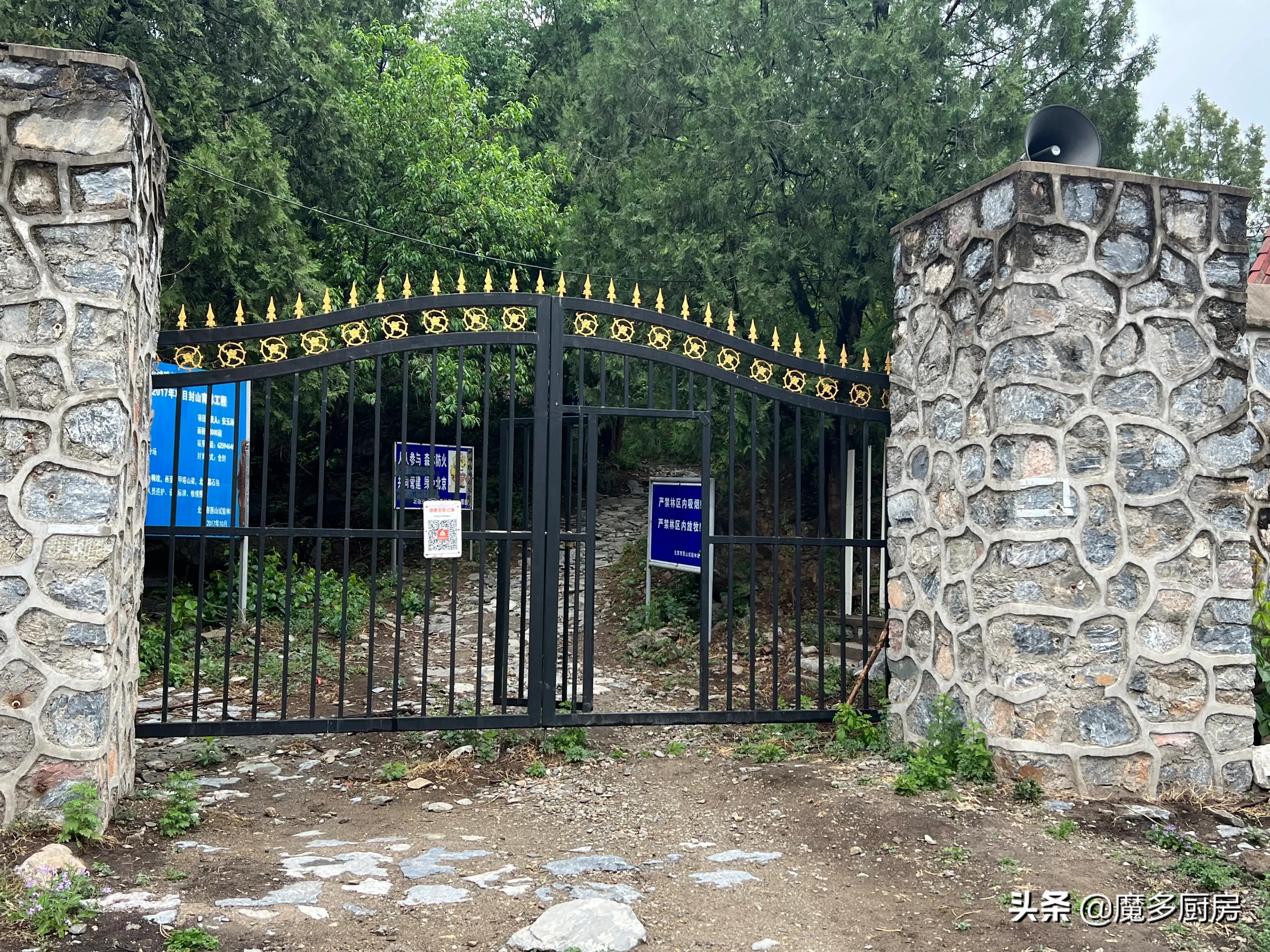 北京香山植物園戶外記錄，帶孩子們雨中山野徒步，感受自然樂趣