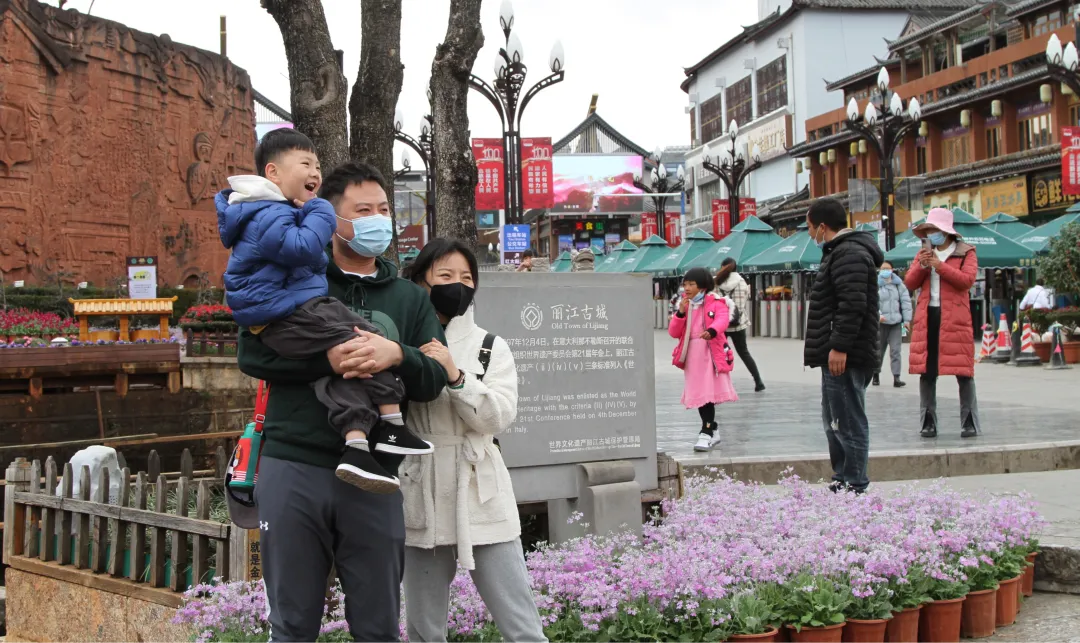 新春临近 在丽江古城率先进入“花的世界”