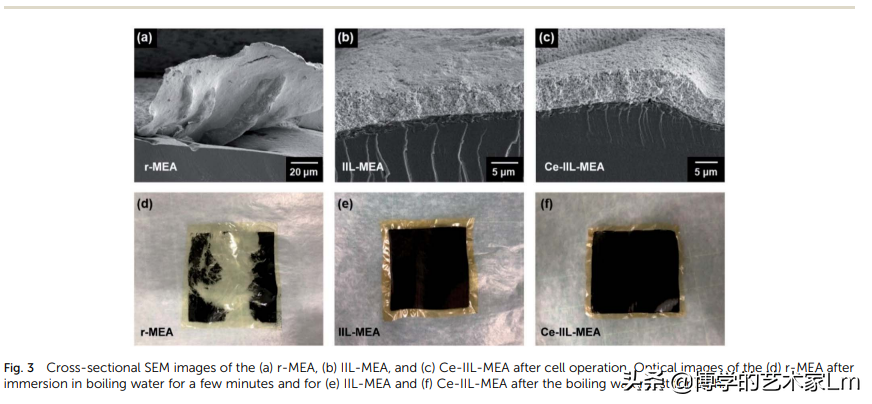 嵌入联锁界面层的自由基清除剂增强聚电解质水电解的耐久性