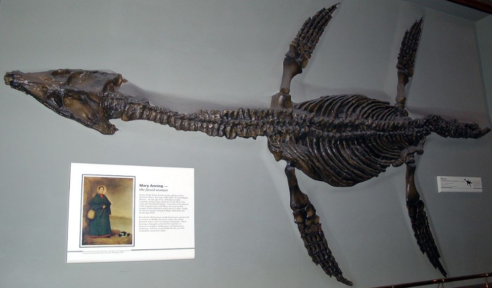 《恐龙化石猎人：古生物学家模拟器》评测：好听的故事听听就好