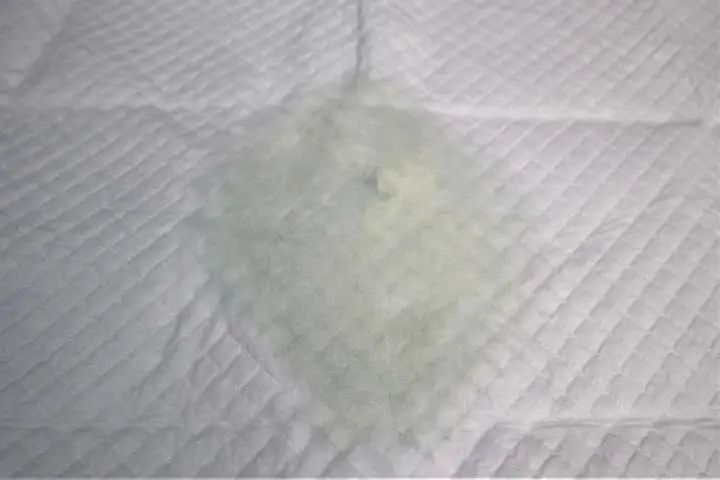 宠物尿垫哪家强？6大品牌的终极pk