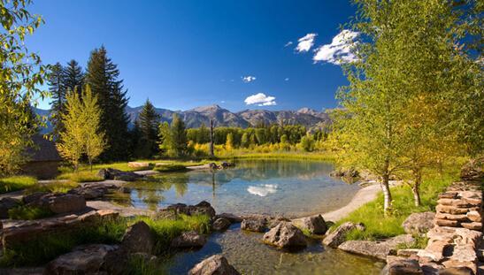 师徒情深！中考作文参考范文《你的馈赠点燃了我》