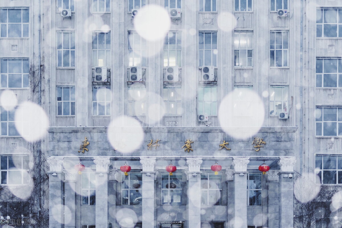 捡漏！26所农林类高校8所双一流，设计类专业实力强录取分数低