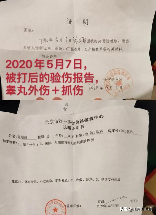 nba为什么不喜欢问题球员(本是体坛健将的他们，为何如此不爱惜自己的羽毛)