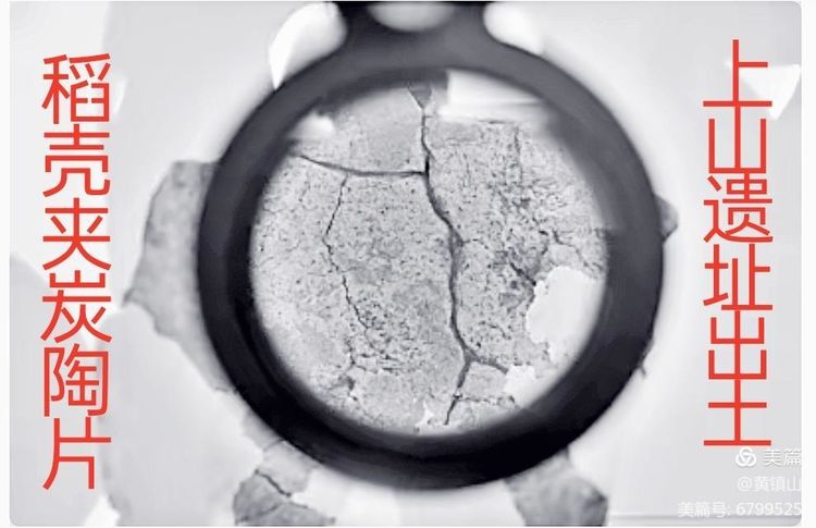 黄镇山：世界陶稻黍文明起源中国万年前