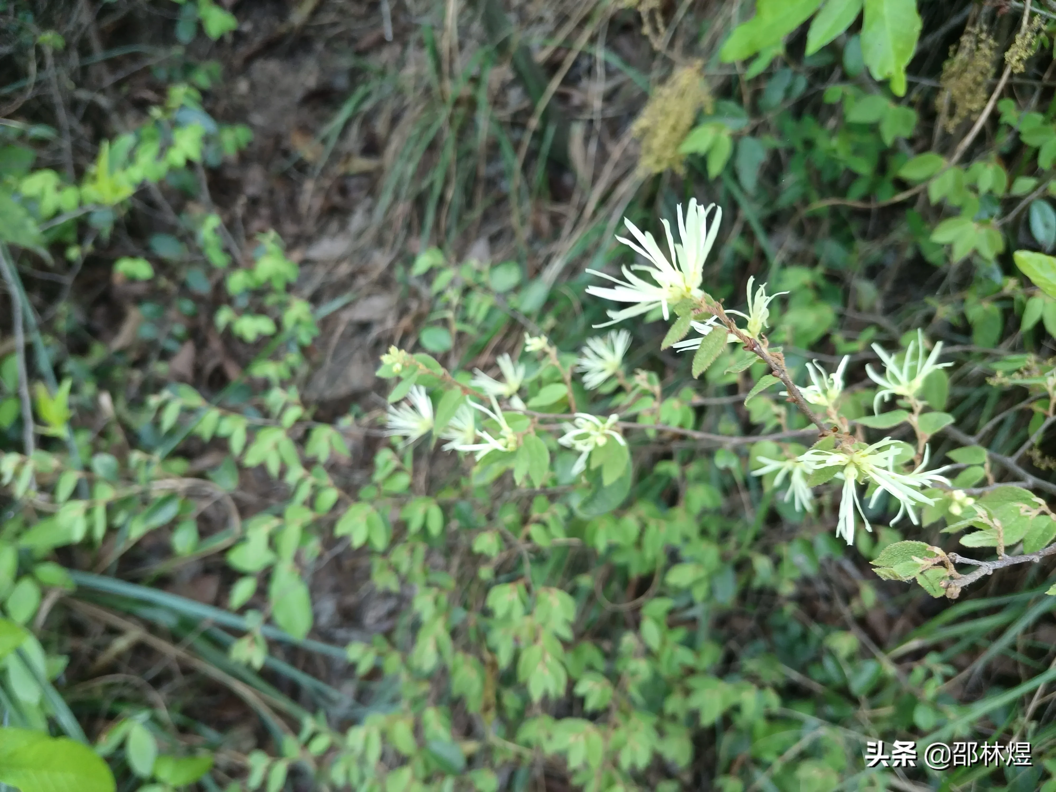 古代励志的诗人名字(古代最难念的诗人名字，能读对一半算你赢，敢来挑战吗？)