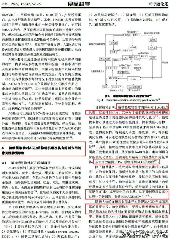 可以抗糖的“时尚单品”，它来了