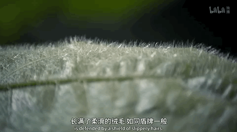 豆瓣第一电影