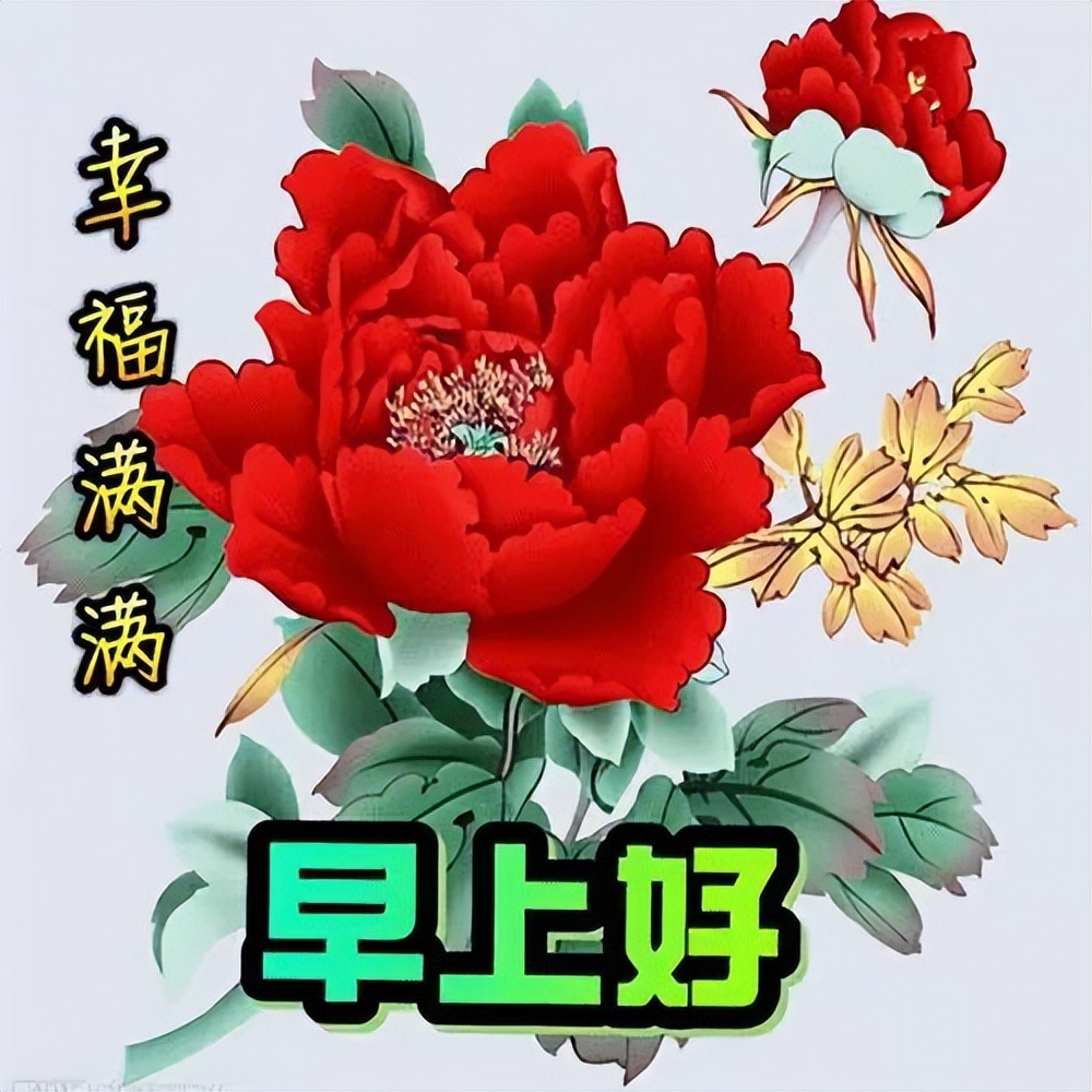 早上好阳光祝福语图片早安心语 放手过去、享受现在、拥抱未来图片